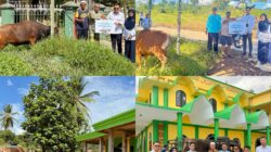 Tebar Berkah Idul Adha 1447 H, Pelindo Kotabaru Serahkan 5 Hewan Kurban Di Desa Sekitar