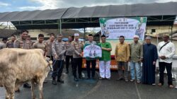Sambut Iduladha 1447 H, Polres Kotabaru Serahkan Hewan Qurban Bagi Tokoh Agama, Pondok Pesantren dan Masjid
