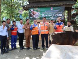 Rayakan Iduladha, Indocement Salurkan Ratusan Hewan Kurban Bagi Masyarakat di Sekitar Operasional