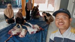 Potong 138 Hewan Kurban, LDII Tanah Laut Bagikan 20 Ribu Paket Daging Bagi Masyarakat