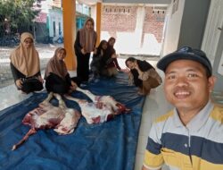Potong 138 Hewan Kurban, LDII Tanah Laut Bagikan 20 Ribu Paket Daging Bagi Masyarakat