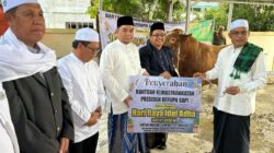Bantuan Sapi Kurban Presiden Disalurkan Pemkab Kotabaru ke Masyarakat Melalui Pengurus Masjid Jami 