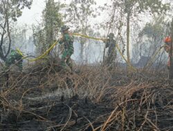 Bahu-Membahu Padamkan Karhutla, Kodam XIX/Tuanku Tambusai dan Tim Gabungan Berjibaku di Bengkalis