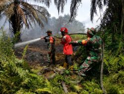 Medan Berat Tak Surutkan Langkah, Kodam XIX/TT Bersama Tim Gabungan Kendalikan Karhutla di Kerumutan